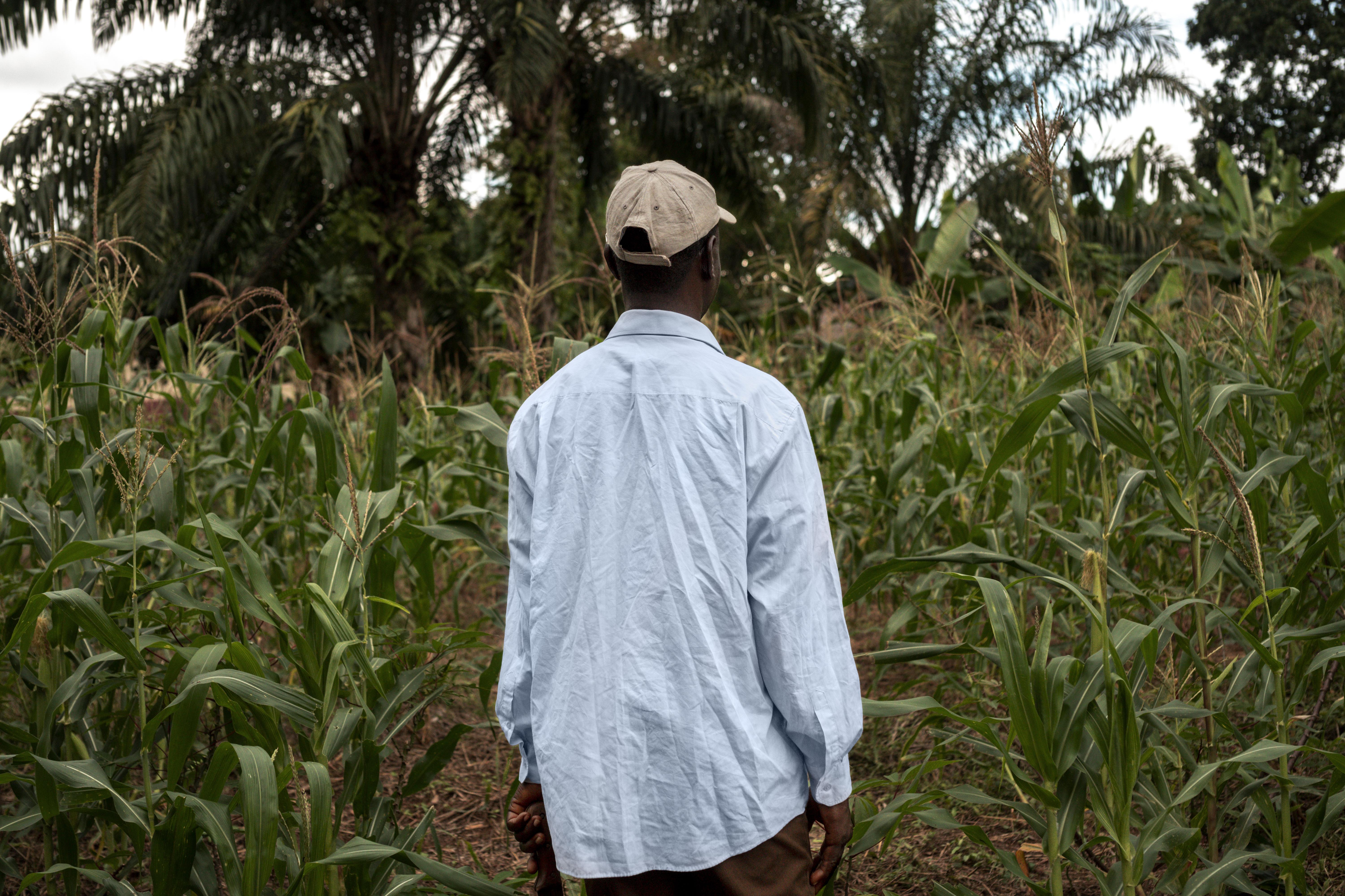 Crop Residue Management as an Alternative to Burning in Chad || Abollo Agricultural Machinery