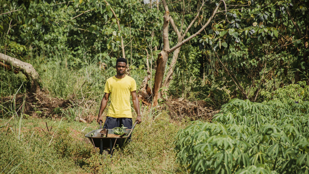 Farmers working in Ethiopia || Abollo Agricultural Machinery