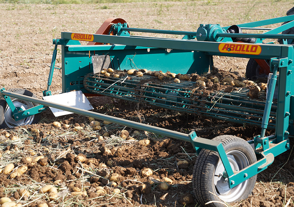 ABOLLO Semi-Mounted Potato Harvesting Machine Working in Potato Field || Abollo Agricultural Machinery