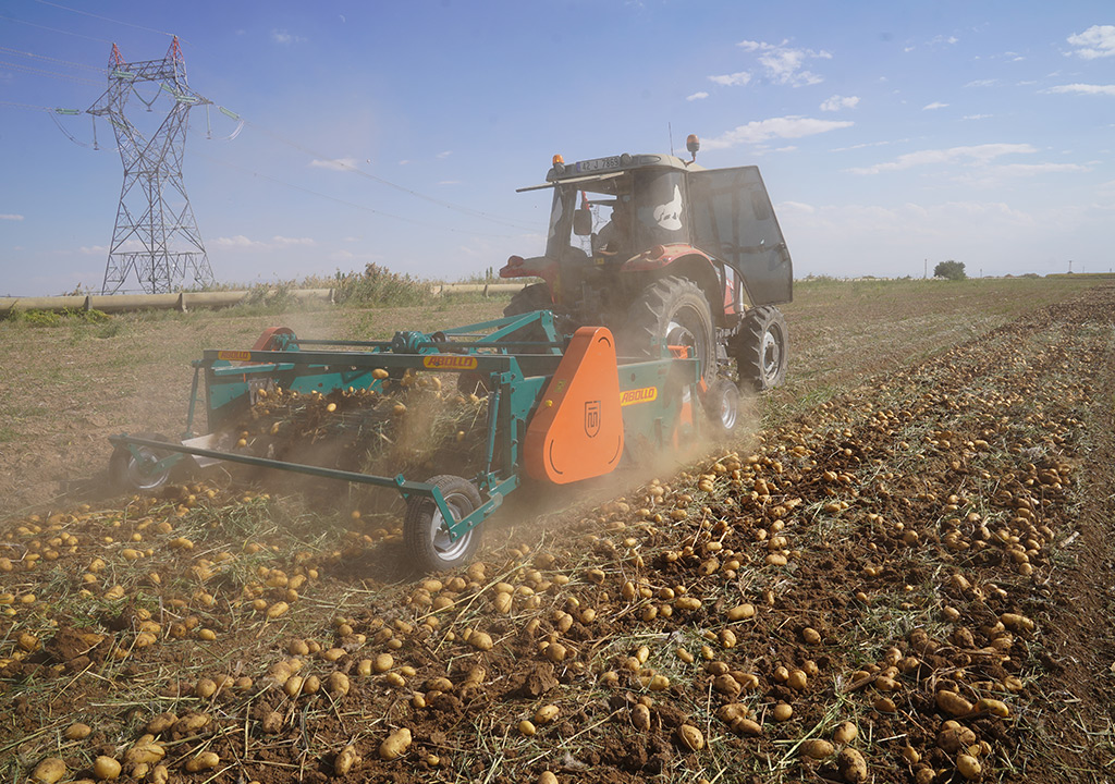 ABOLLO Tractor Attached Potato Digger Machinery for Clean Field Harvest || Abollo Agricultural Machinery