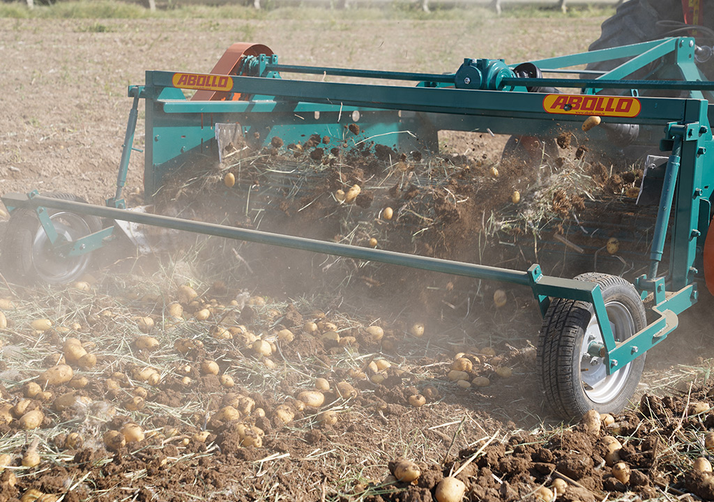 ABOLLO Potato Harvester 26-Degree Digging Blade Angle Mechanics || Abollo Agricultural Machinery