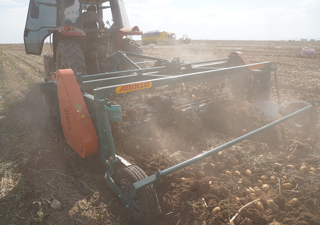 ABOLLO 2-Row Tractor Mounted Potato Harvester for Agricultural Fields || Abollo Agricultural Machinery