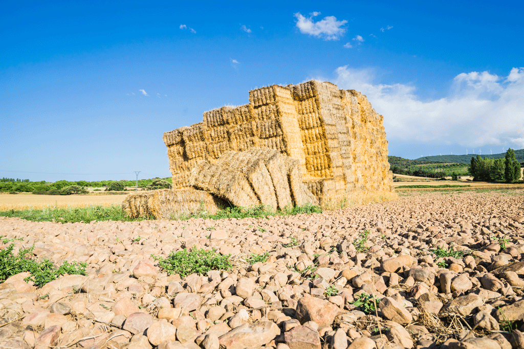 Agricultural Machinery in Ethiopia: A Complete Guide for Modern Farming || Abollo Agricultural Machinery