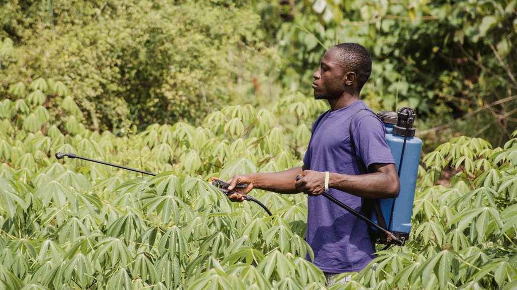 Agricultural Machinery in Ethiopia: A Complete Guide for Modern Farming || Abollo Agricultural Machinery