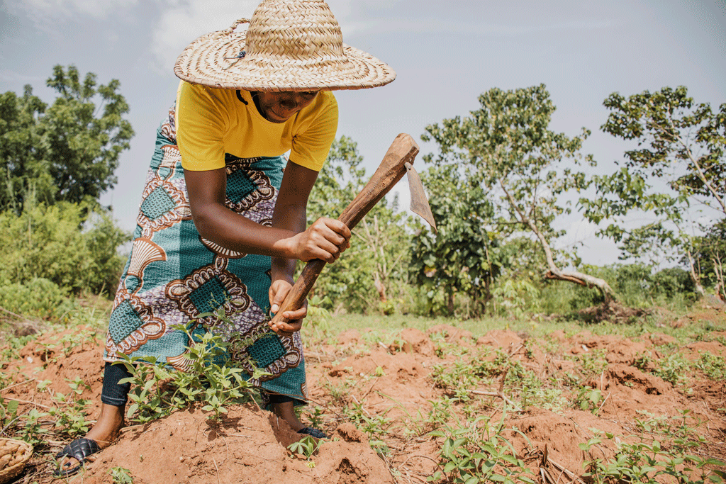 Agricultural Machinery in Ethiopia: A Complete Guide for Modern Farming || Abollo Agricultural Machinery