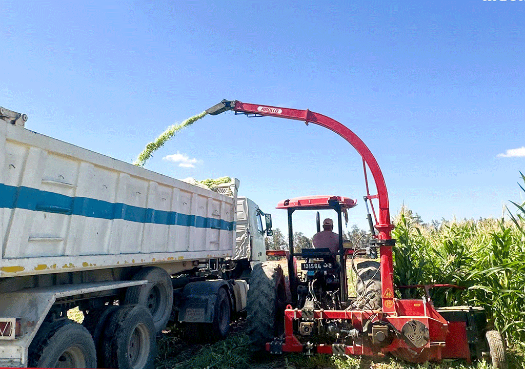 ABOLLO Two Rows Maize Chopper in Tunisia || Abollo Agricultural Machinery