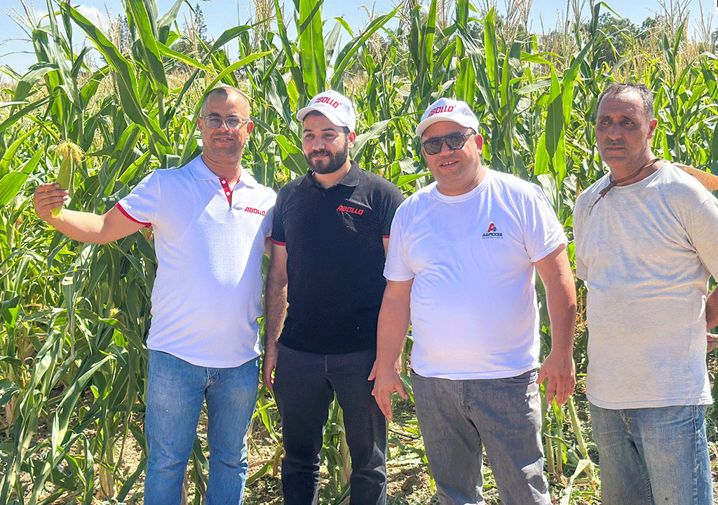  || Abollo Agricultural Machinery