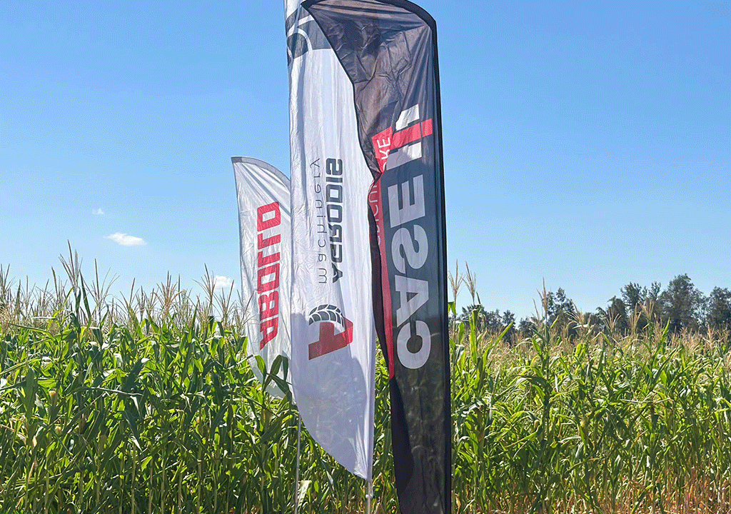 ABOLLO Two Rows Maize Chopper Demonstration in Tunisia || Abollo Agricultural Machinery