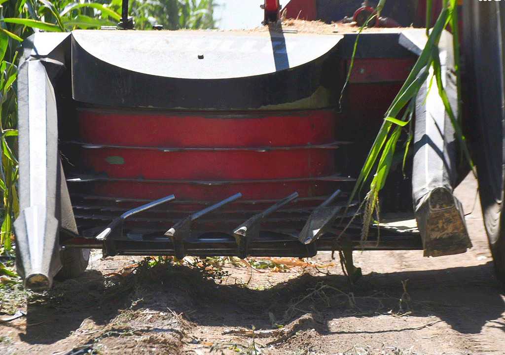 ABOLLO Two Rows Maize Chopper Field Operation || Abollo Agricultural Machinery