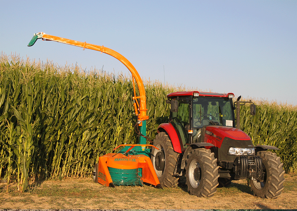 10-mistakes-causing-yield-loss-in-corn-silage-expert-guide-for-quality-silage | Abollo Agricultural Machinery
