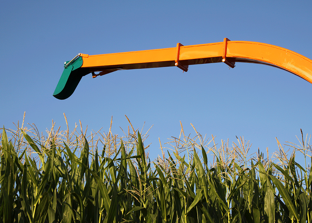 10-mistakes-causing-yield-loss-in-corn-silage-expert-guide-for-quality-silage | Abollo Agricultural Machinery
