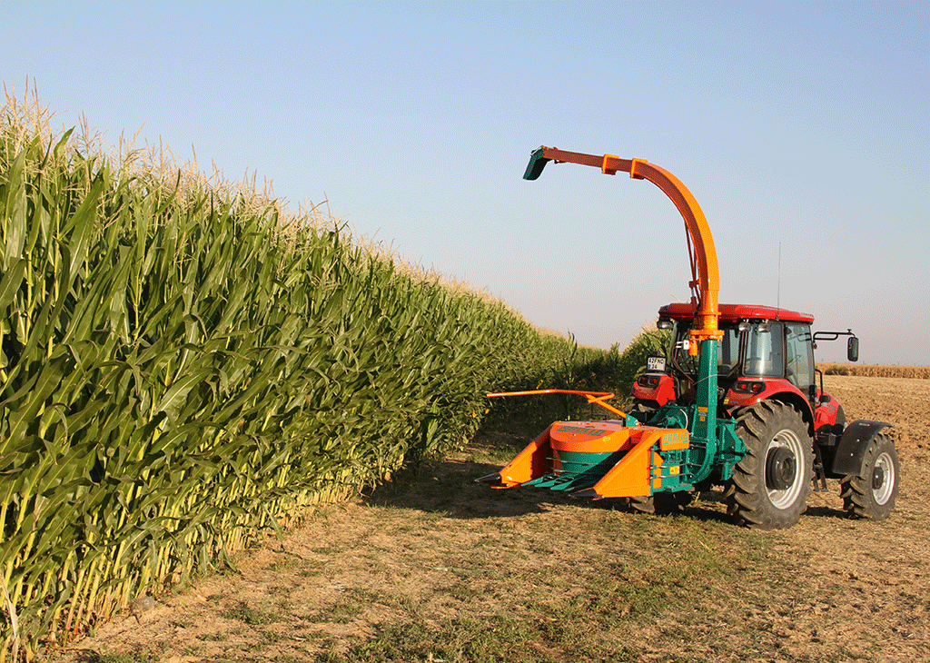 10-mistakes-causing-yield-loss-in-corn-silage-expert-guide-for-quality-silage | Abollo Agricultural Machinery